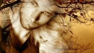 Bekir Vekilov Heyifki (Şeir 2019)