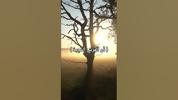 Sourate Al-Bourouj سورة البروج part.2 #quran #islam