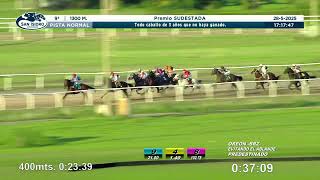 Vidéo de la course PMU PREMIO SUDESTADA