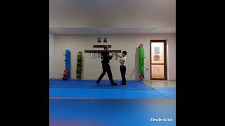 Artsakh(Armenian Wing Tsun) Wing Chun, Kocharyan Mher 8 year, 1level.