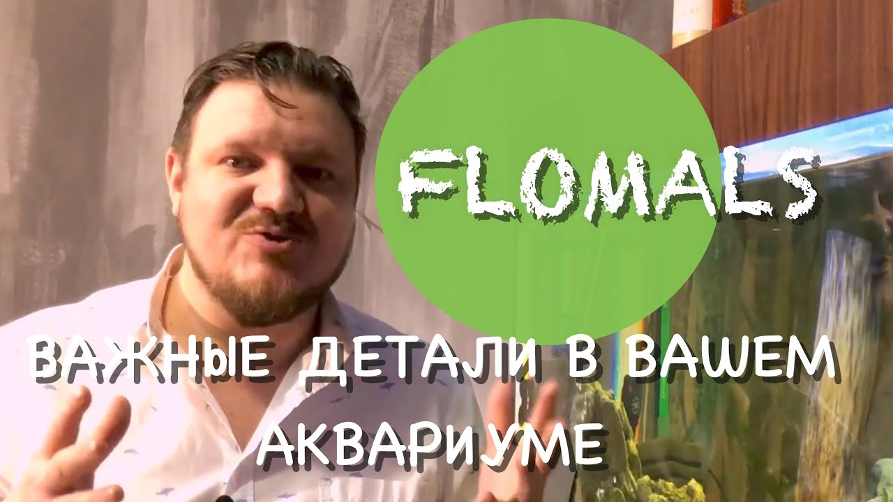 ВАЖНЫЕ ДЕТАЛИ В ВАШЕМ АКВАРИУМЕ - YouTube