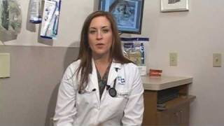 Dog Health Treatment & Advice : When Will My Pregnant Dog Go Into Labor?