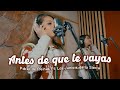 Antes de que te vayas - Poker de Reinas ft. Los Juniors de la Sierra | Video Oficial 2020