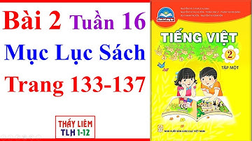 Tiếng Việt Lớp 2 Bài 2 Tuần 16 | Mục Lục Sách | Trang 133 - 137 | Chân Trời Sáng Tạo