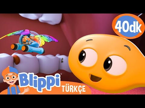 Blippi Bir Diş Fırçasını Keşfediyor | Blippi Türkçe - Çocuklar için Eğitici Videolar