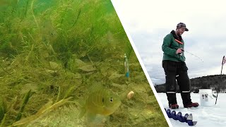 Ultimate Beginner's Guide for Ice Fishing: Must-Have Gear for Ice Fishing Success!!