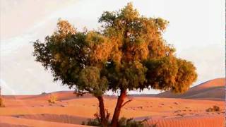 Sands And Dunes Images Sand And Dune Image