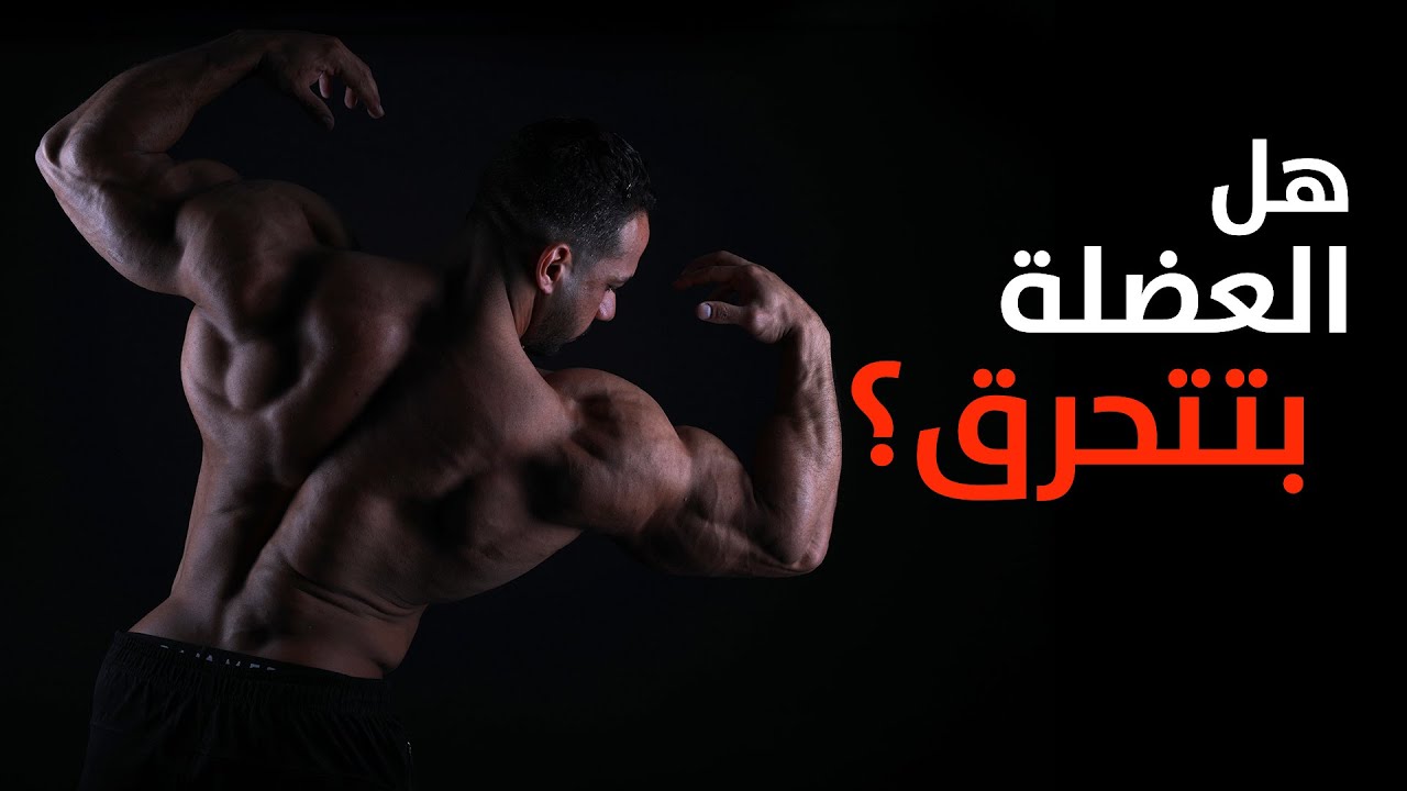 العضلة اتحرقت | هل تحترق العضلة