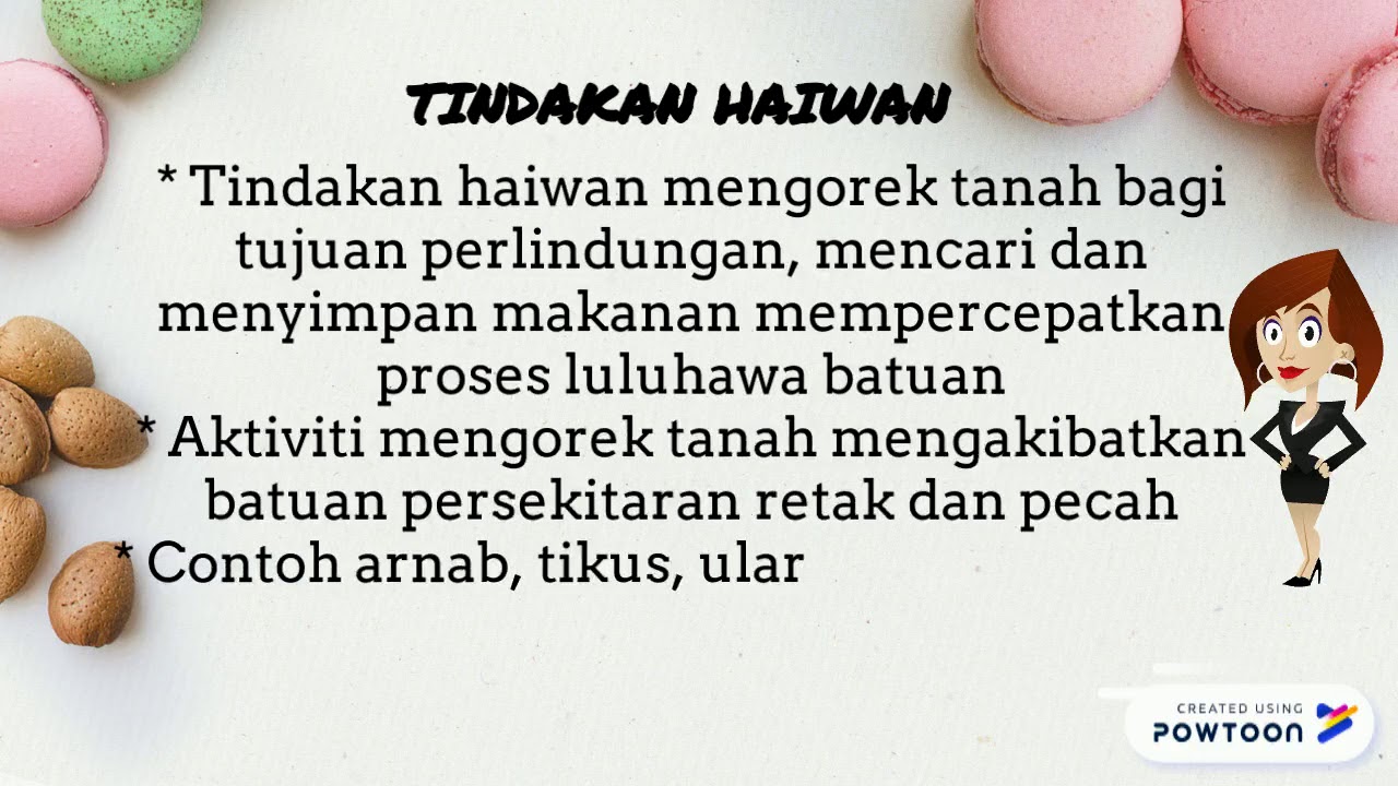 Proses Luluhawa Biologi Youtube