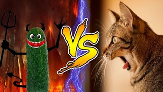 cat tug life| cat vs cucumber 🥒 #tuglife #funny2023 #catfunny