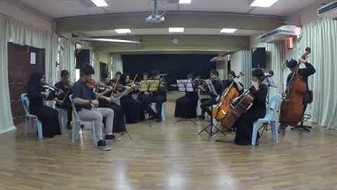 Suite for String Orchestra Rigoudon by Christopher Wilson