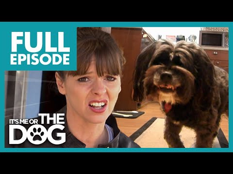 'Shark Dog' Is Ruining Owner's Love Life! | Full Episode USA | It's Me or The Dog