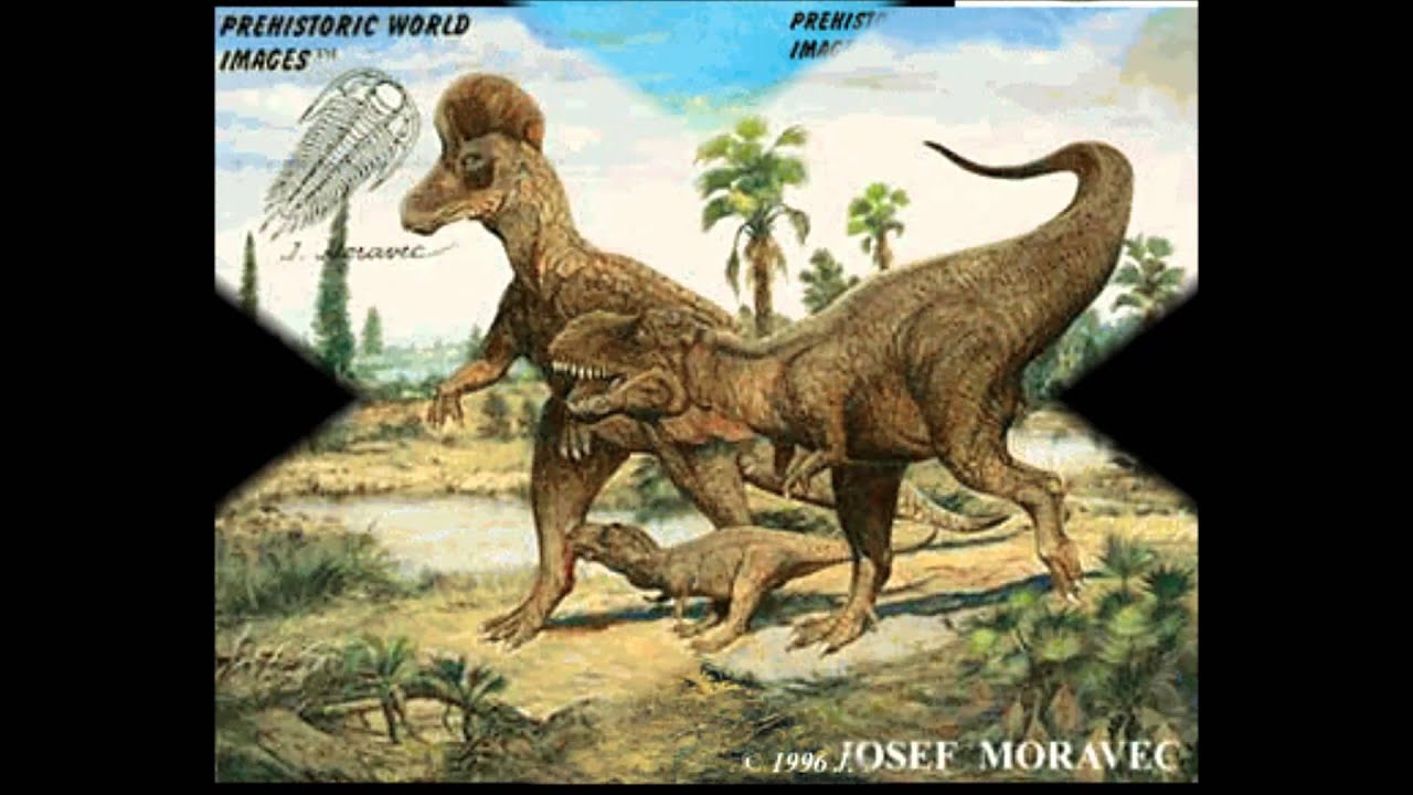 Dinosaur Wall Stickers