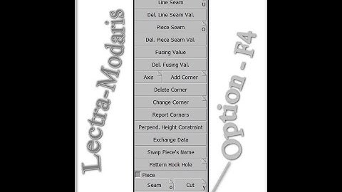 Lectra Modaris Option F4 || How to operate lectra? || Lectra option details