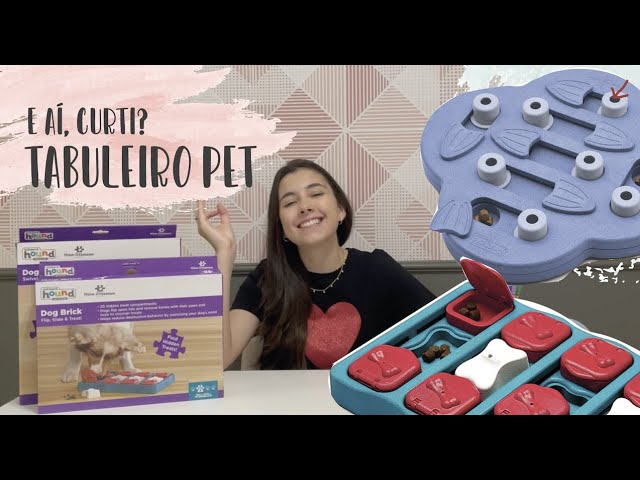 Nina Ottosson Dog Treat Maze Interactive Dog Toy – Dr. Judy Morgan's  Naturally Healthy Pets