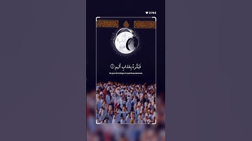 اكتب شيء تؤجر علية 🤍🎧 #القارئ #ياسر_الدوسري #سورة_الجاثية