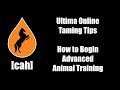 Ultima Online - UO-CAH Taming Tips - How To Begin Advanced Animal Training