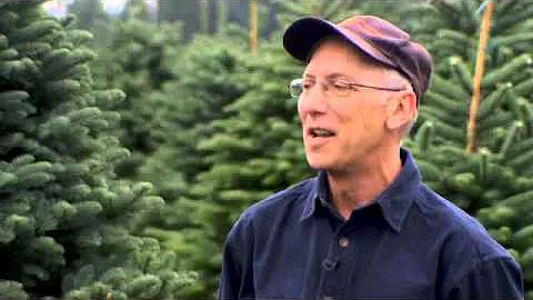 Oregon Christmas Trees