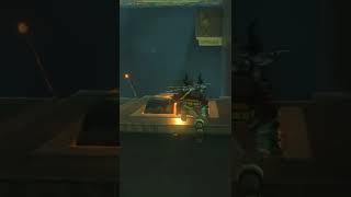 Shield Jump! (The Legend of Zelda: Breath of the Wild)