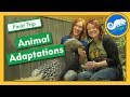Adaptations at Animal Wonders - Field Trip
