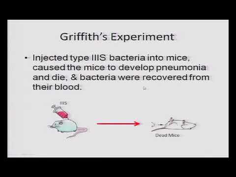 Bio class12 unit 06 chapter 04 genetics and evolution- molecular basis of inheritance  Lecture -4/12