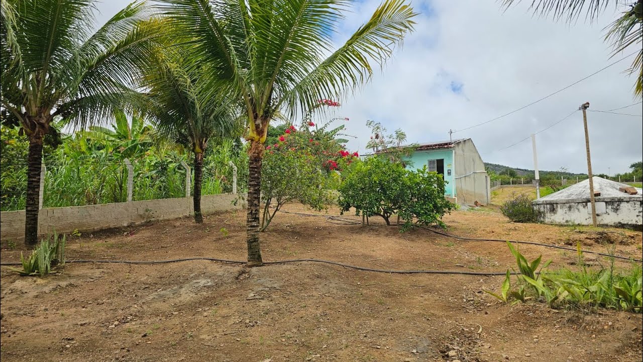 CHÁCARA A VENDA NA CIDADE DE BELO JARDIM PERNAMBUCO COM ENERGIA SOLAR 