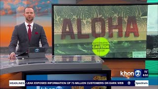 Island Country Markets hosts its grand opening