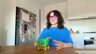 Grade 1 Physical Sciences, Push or Pull Detective Microteach