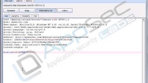 SQL Injection demonstration video