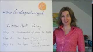 Lean Six Sigma Yellow Belt Training with IASSC Certification, Switzerland screenshot 5