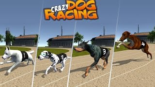 Dog Crazy Race Simulator offical traile androd HD game Play screenshot 4