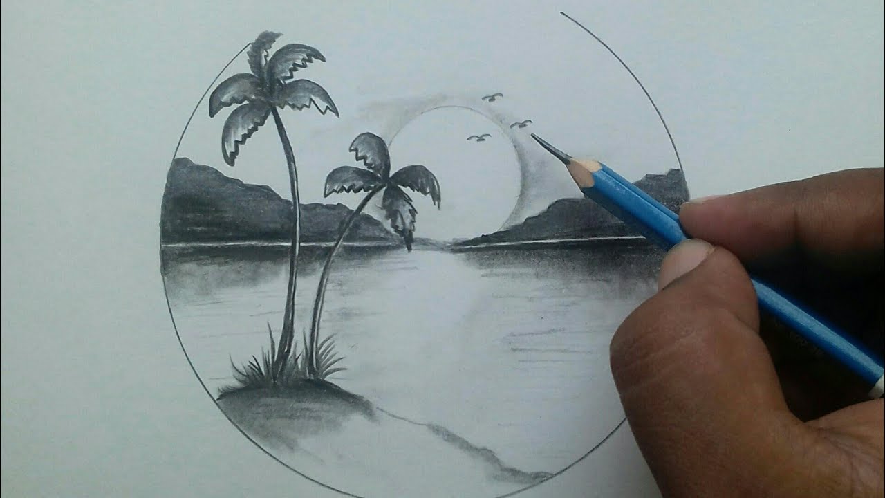 How to draw a Palm Tree