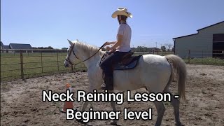 Indirect Rein or Neck Reining Beginner Riding Lesson with exercises