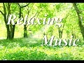 朝の音楽・さわやかリラックスBGM・癒しのギターカフェミュージック（YouTube BGM Backgroundmusic）