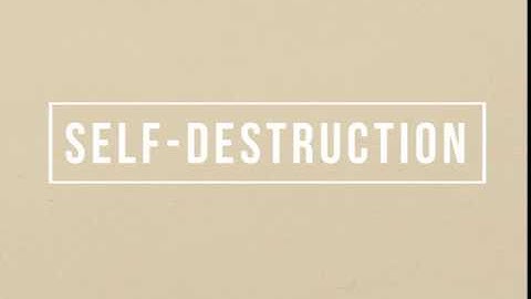 self-destruction // echo