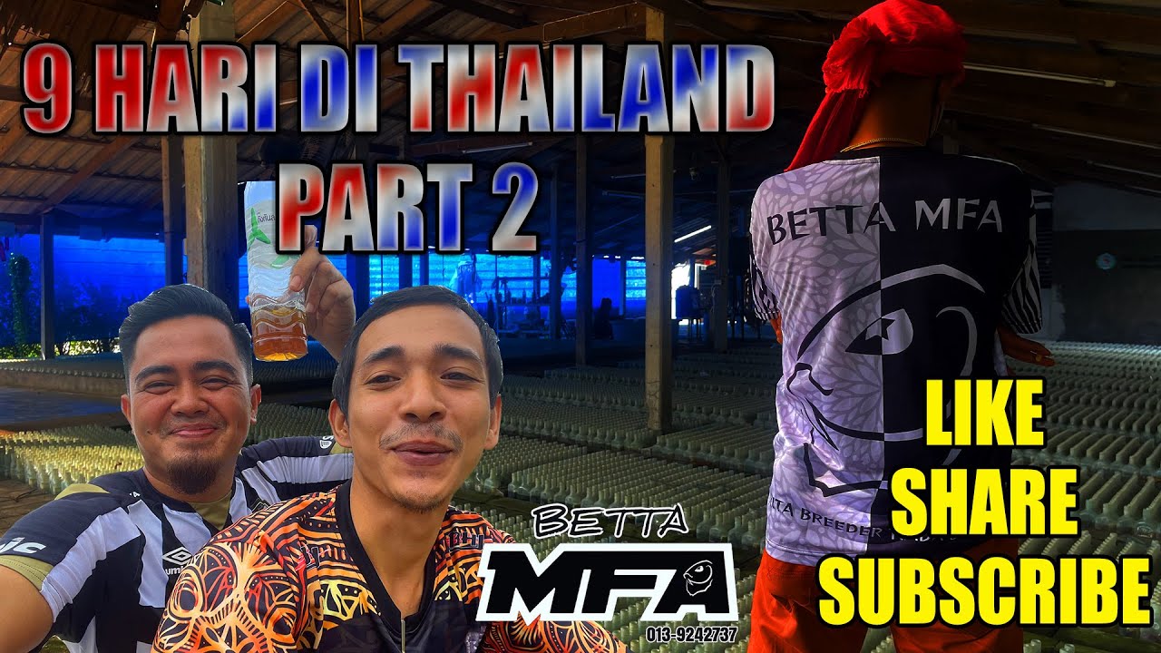 9 HARI DI THAILAND / BETTA HUNTING PART 2