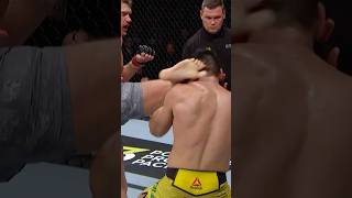 Stephen Thompson Vs Vicente Luque