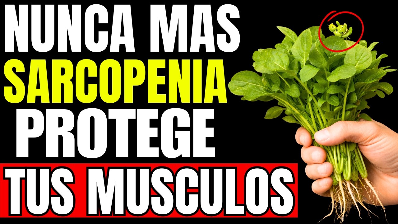 HOJAS NATURALES que PROTEGEN tus MUSCULOS y ALEJAN la SARCOPENIA