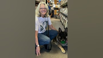 Visit Groovy Records