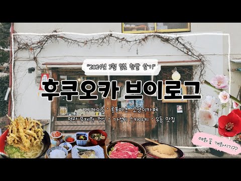 🇯🇵 일본 한 달 살기 후쿠오카 vlog [ep.2] 다자이후 매화, 롯폰마츠, 텐진 쇼핑, 가격 정보, 고양이카페, 명란무제한식당, 500엔 백반, 가성비 스키야키, 우동 맛집