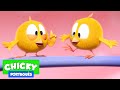 Onde está Chicky? 2020 | CHICKY E SEUS AMIGOS | Desenhos Animados Infantil