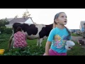 Корова в деревне! Аня расскажет все про корову!