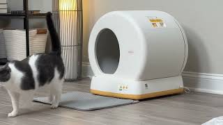 MeoWant SelfCleaning Cat Litter Box... IS IT WORTH IT?