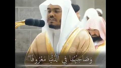 تلاوة جميلة للقارئ / ياسر الدوسري