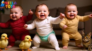 Download Lagu Jingle Bells Song | Baby Dance \u0026 Holiday Fun with Neela Tota Christmas Song for Kids \u0026 Toddlers MP3