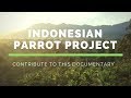 Indonesian Parrot Project | Crowdfunding Video