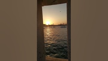 تلاوة خاشعة بصوت الشيخ بندر بليلة - وهو الذي سخر البحر لتأكلوا منه لحماً طرياً -
