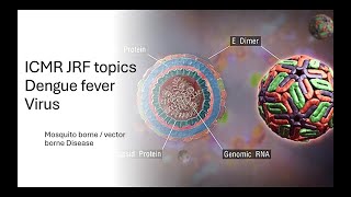 ICMR JRF topics Dengue fever Virus vector borne disease