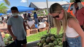 chợ trời FLORIDA ||  có đu loại trái cây việt nam, flea Market