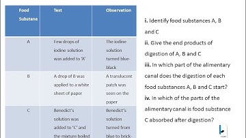 2024 Integrated Science Questions and Answers